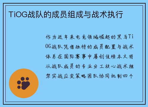 TiOG战队的成员组成与战术执行