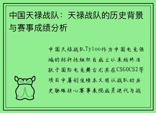 中国天禄战队：天禄战队的历史背景与赛事成绩分析