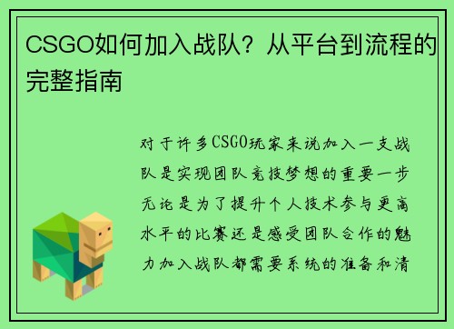 CSGO如何加入战队？从平台到流程的完整指南
